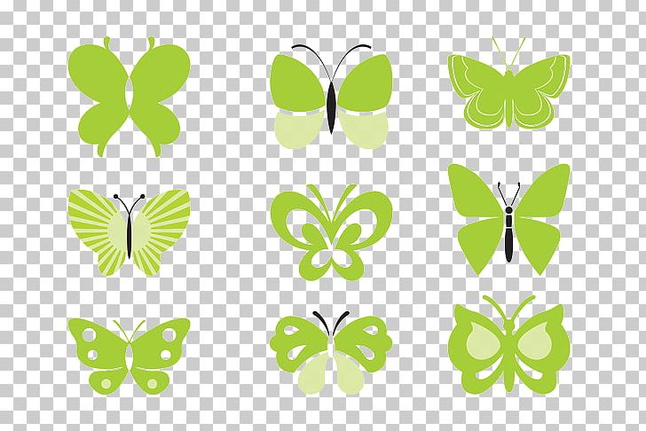 Butterfly Green PNG, Clipart, Butterflies And Moths, Decorative, Decorative Pattern, Digital Image, Drawing Free PNG Download