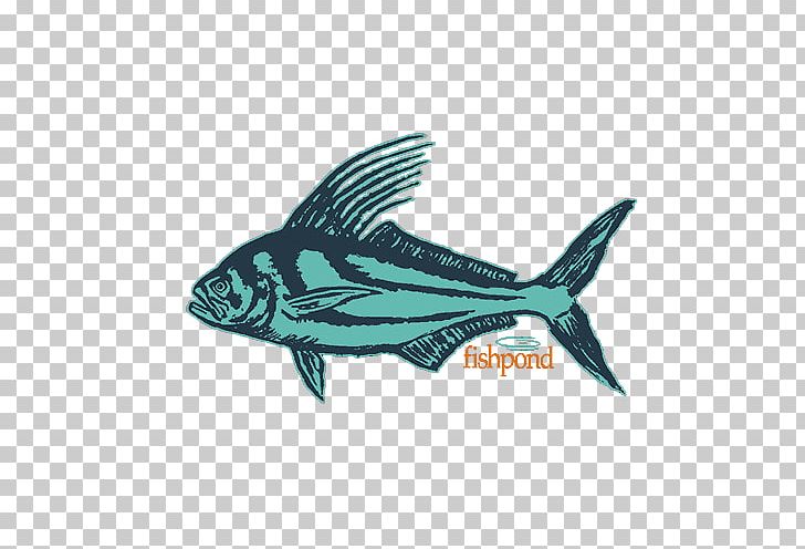 Fish Pond Marine Mammal Teal Fauna PNG, Clipart, Fauna, Fin, Fish, Fish Pond, Mammal Free PNG Download