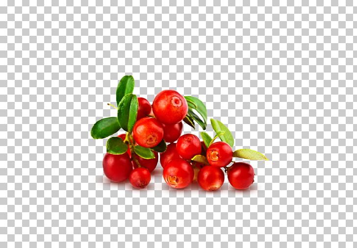 Fruit Health Blueberry Food PNG, Clipart, Acerola, Blackcurrant, Blueberry, Cherry, Currant Free PNG Download