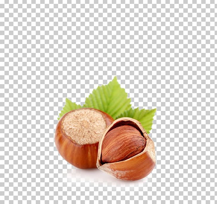Hazelnut Dried Fruit Almond Walnut PNG, Clipart, Almond, Chocolate, Chocolate Spread, Dessert, Dried Fruit Free PNG Download