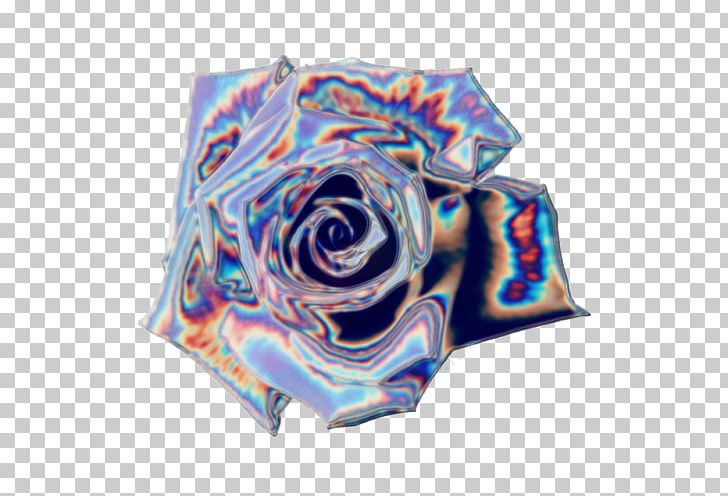Rose Family Textile PNG, Clipart, Blue, Family, Holograph, Rose, Rose Family Free PNG Download
