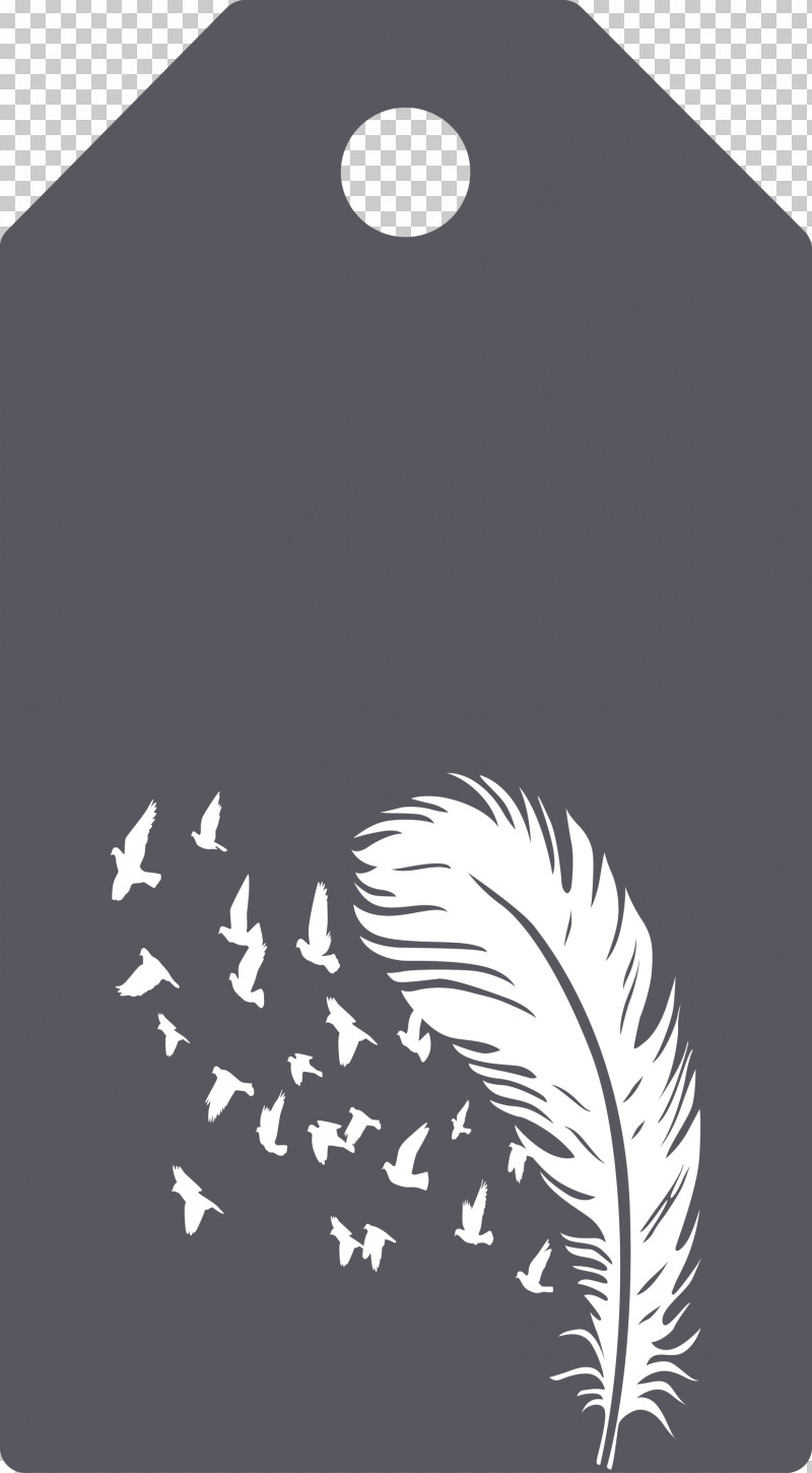 Feather Birds Tag PNG, Clipart, Black M, Feather, Feather Birds Tag, Meter Free PNG Download