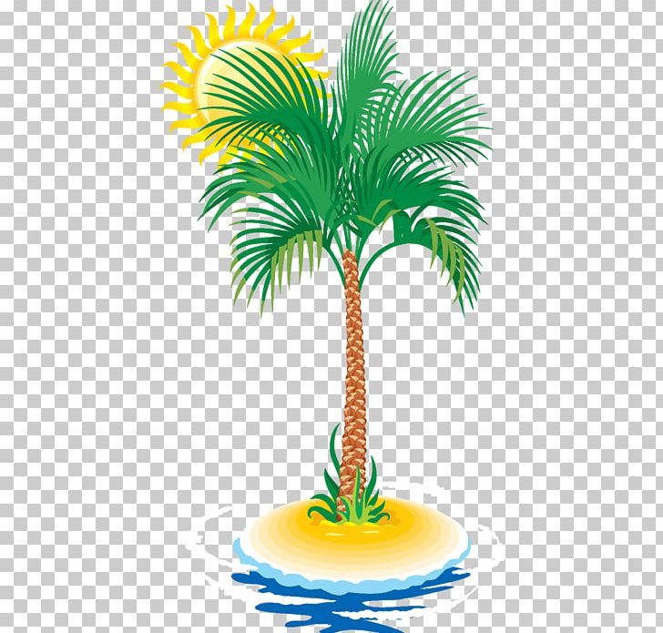 Arecaceae Tree Tropics Date Palm PNG, Clipart, Arecaceae, Arecales, Coconut, Date Palm, Date Palm Tree Free PNG Download