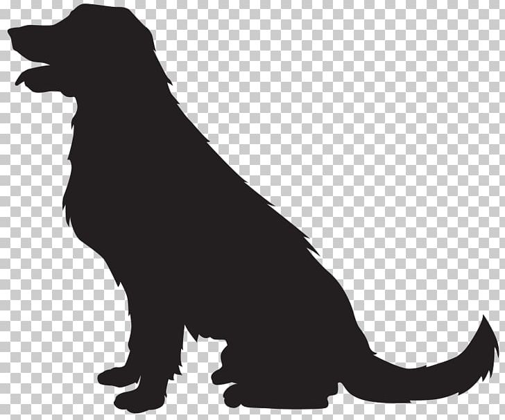 Puppy Golden Retriever Labrador Retriever Portable Network Graphics PNG, Clipart, Black, Black And White, Carnivoran, Desktop Wallpaper, Dog Free PNG Download