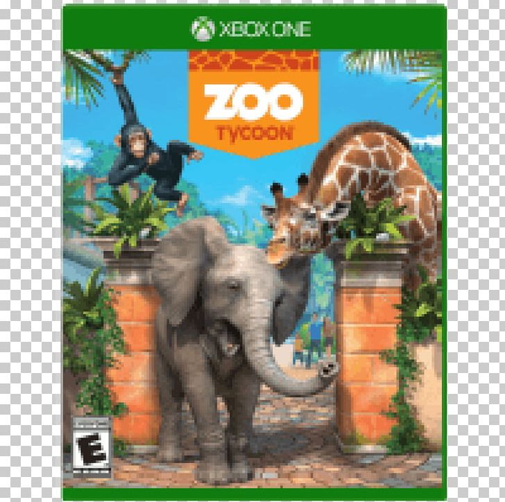 Zoo Tycoon Xbox 360 Minecraft Xbox One Video Game PNG, Clipart, African Elephant, Aral, Ecosystem, Elephant, Fauna Free PNG Download