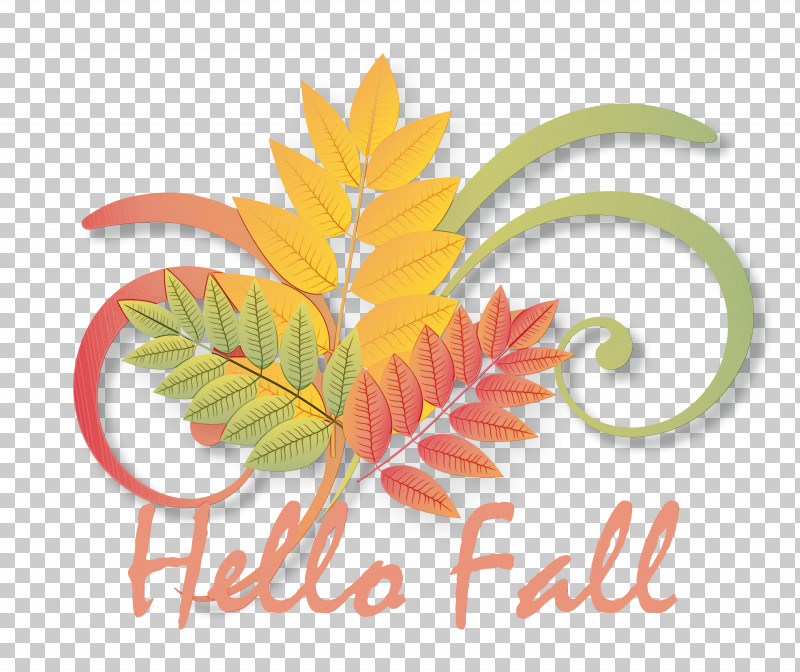 Maple Leaf PNG, Clipart, Autumn, Color, Drawing, Hello Autumn, Hello Fall Free PNG Download
