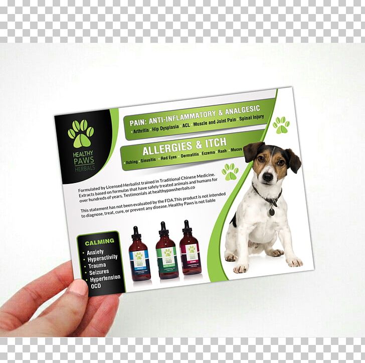 Jack Russell Terrier Dog Breed Advertising Text PNG, Clipart, Advertising, Brand, Breed, Conflagration, Dog Free PNG Download