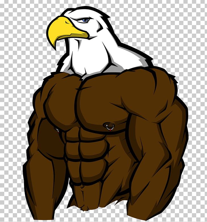 Pit Bull Drawing Bird Muscle PNG, Clipart, Animals, Animation, Art, Beak, Beard Free PNG Download