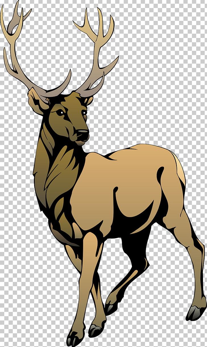 Red Deer PNG, Clipart, Animals, Antler, Art, Deer, Download Free PNG Download