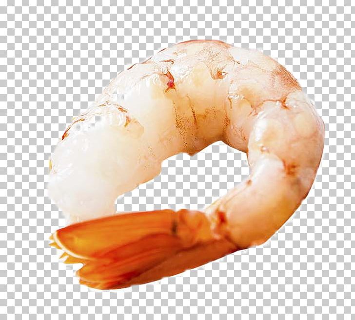 Caridea Shrimp Pleoticus Muelleri Litopenaeus Setiferus PNG, Clipart, Animals, Animal Source Foods, Background White, Black White, Caridean Shrimp Free PNG Download