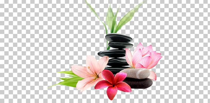 Chiropractic Therapy Health Care Elastic Therapeutic Tape Health PNG, Clipart, Acupuncture, Artificial Flower, Ayurveda, Cut Flowers, Depression Free PNG Download