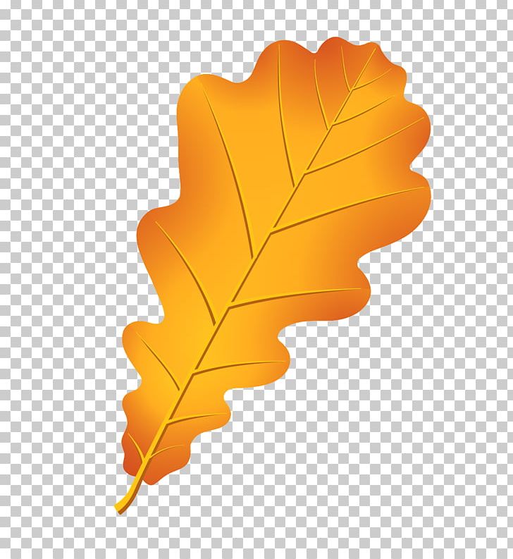 Oak Autumn Leaf Color Acorn Drawing PNG, Clipart, Acorn, Autumn, Autumn Leaf Color, Drawing, Leaf Free PNG Download