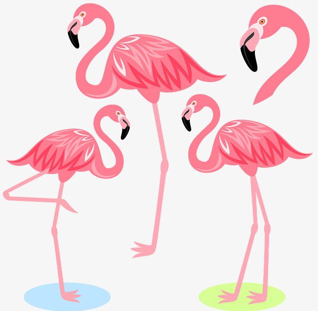 Cartoon Flamingo PNG, Clipart, Birds, Cartoon, Cartoon Clipart, Flamingo Clipart, Flamingos Free PNG Download