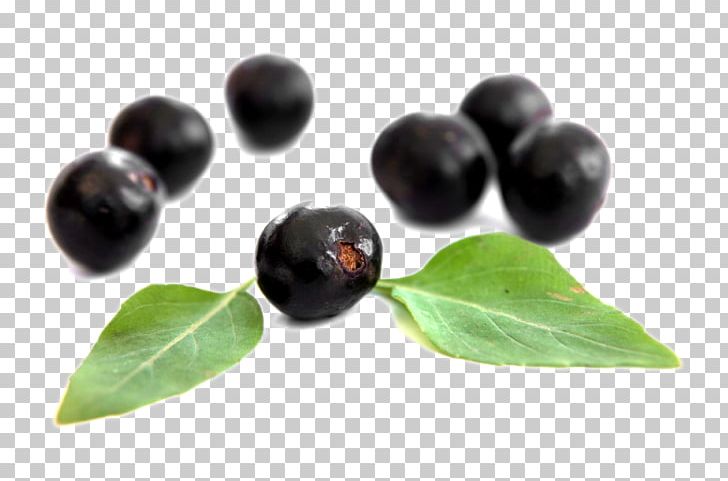 Dietary Supplement Berries Elderberry Antioxidant Superfood PNG, Clipart, Acai, Acai Berry, Antioxidant, Aristotelia Chilensis, Berries Free PNG Download