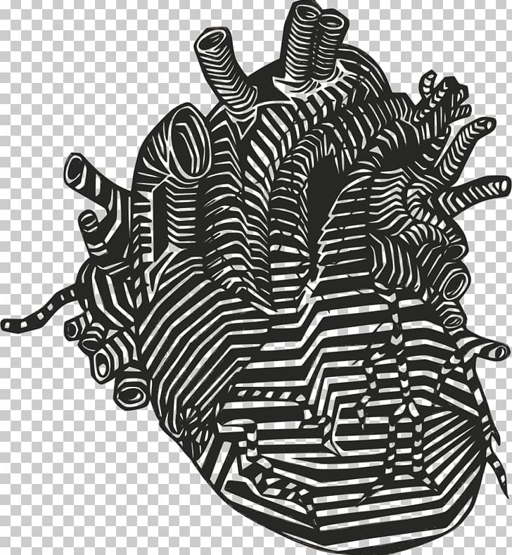 Heart Anatomy Drawing PNG, Clipart, Anatomy, Arterial Blood, Artery, Black, Black And White Free PNG Download
