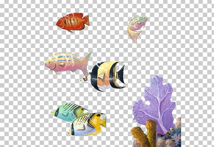 Marine Biology Fish PNG, Clipart, Biology, Cba, Fish, Marine Biology, Organism Free PNG Download