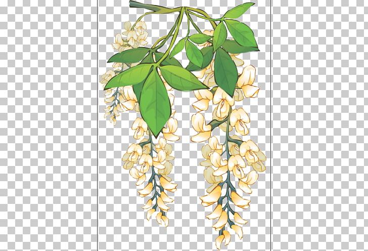 Acacia Plant Black Locust 許地山人生慧語 PNG, Clipart, Acacia, Black Locust, Branch, Drawing, Featurepics Free PNG Download