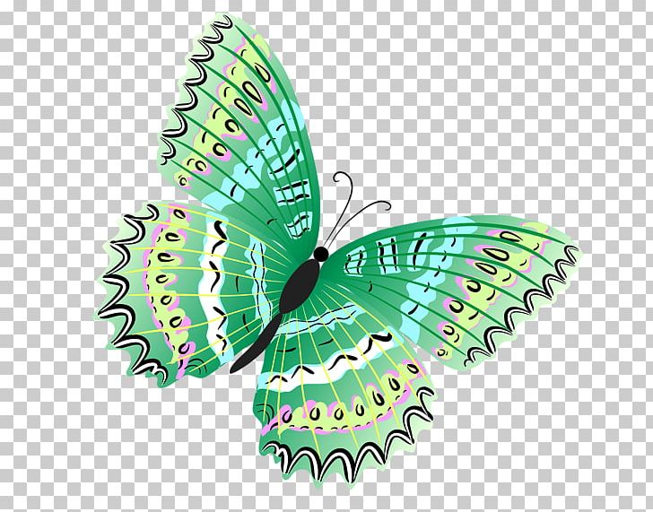 Butterfly Green PNG, Clipart, Arthropod, Blue, Brush Footed Butterfly, Butterfly, Color Free PNG Download