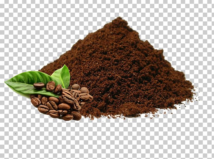 Indian Filter Coffee Arabica Coffee Instant Coffee Coffee Bean PNG, Clipart, Brewed Coffee, Chocolate, Cocoa Bean, Cocoa Solids, Coffea Free PNG Download