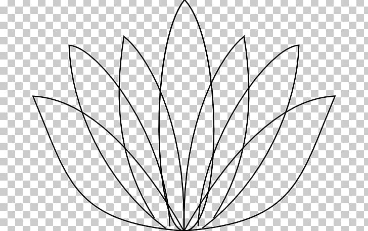 Nelumbo Nucifera Egyptian Lotus Drawing Flower PNG, Clipart, Angle, Area, Black And White, Branch, Circle Free PNG Download