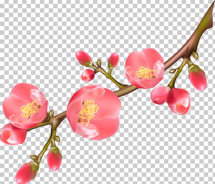 Paper Flower PNG, Clipart, Blossom, Branch, Calligraphy, Cherry, Cherry Blossom Free PNG Download