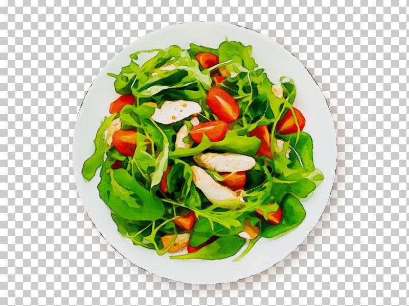 Salad PNG, Clipart, Garnish, La Quinta By Wyndham, Lettuce, Paint, Recipes Free PNG Download
