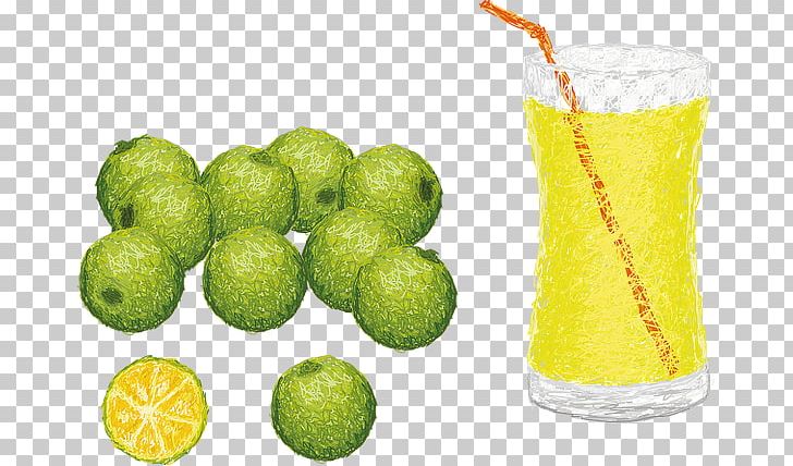 Lemon-lime Drink Juice Lemon-lime Drink Calamondin PNG, Clipart, Caipirinha, Calamondin, Citric Acid, Citrus, Citrus Japonica Free PNG Download