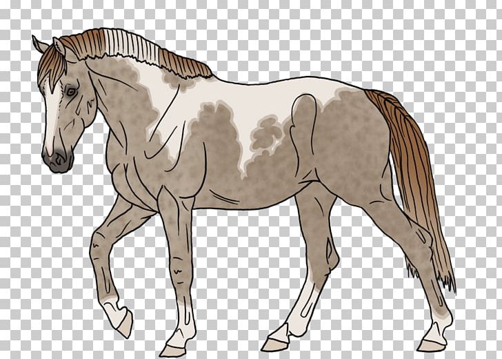 Mustang Foal Mare Mane Stallion PNG, Clipart, Bit, Bridle, Colt, Fee, Foal Free PNG Download