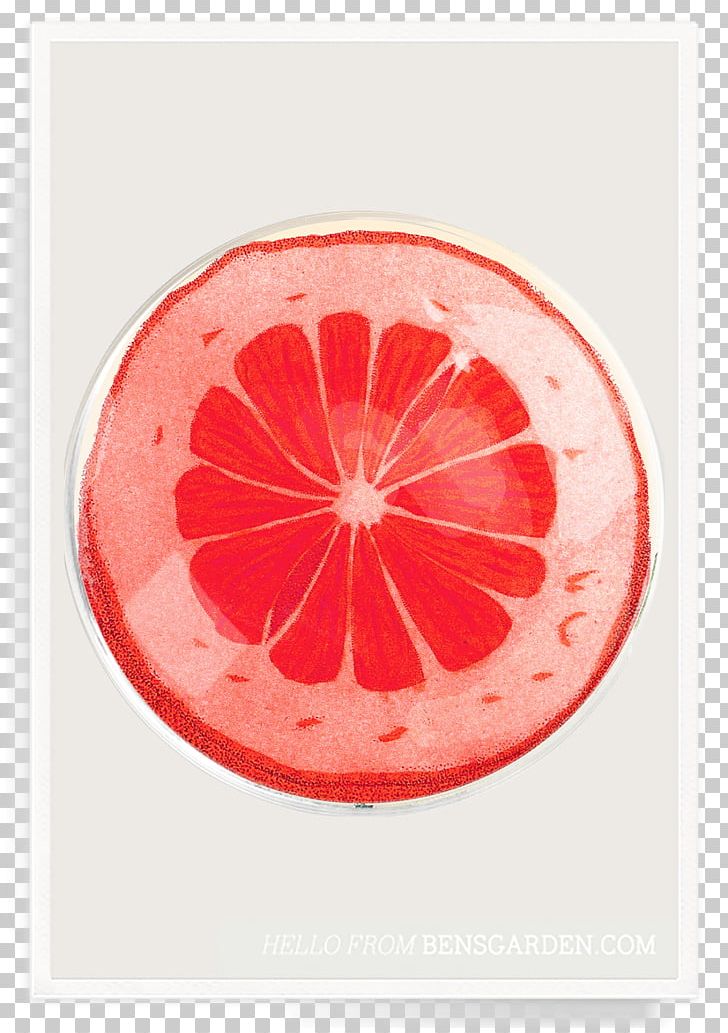 Ben's Garden Glass Decoupage Grapefruit Tray PNG, Clipart,  Free PNG Download