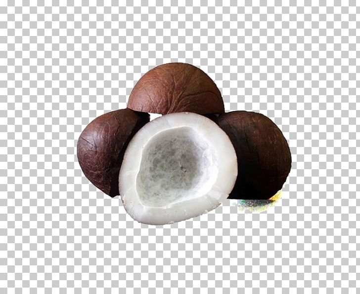 Copra Coconut Oil Grocery Store Food PNG, Clipart, Areca Nut, Coconut, Coconut Oil, Copra, Dried Fruit Free PNG Download