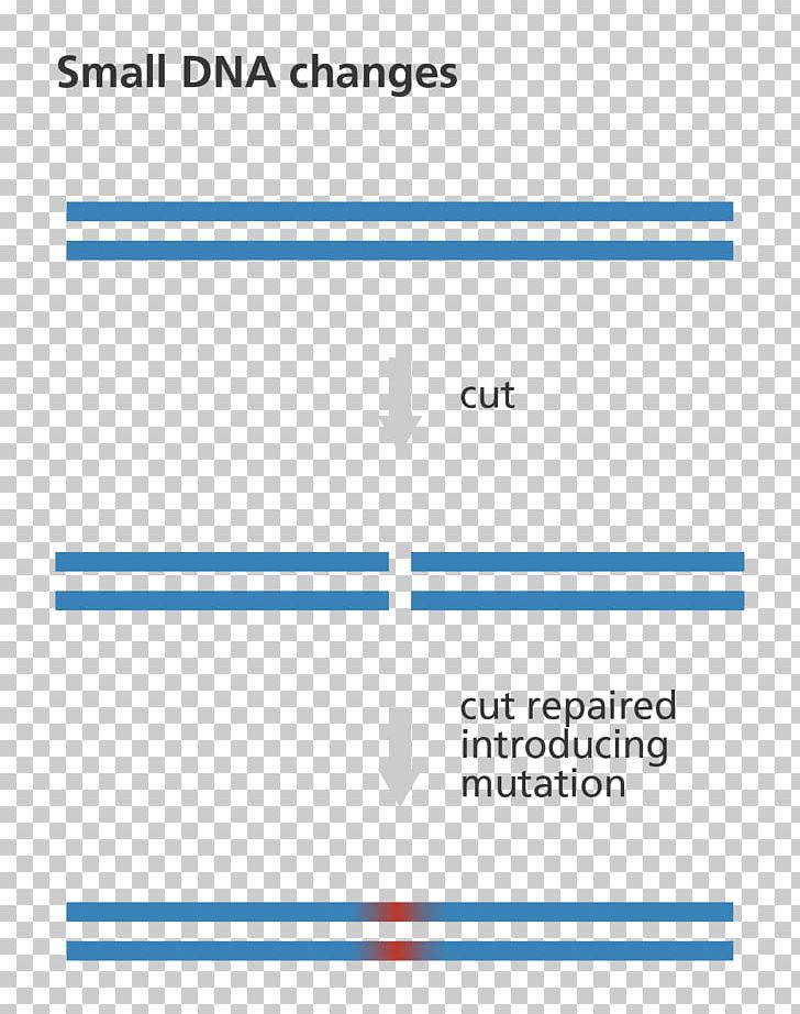 Genome Editing Zinc Finger Nuclease DNA PNG, Clipart, Angle, Area, Blue, Brand, Cas9 Free PNG Download
