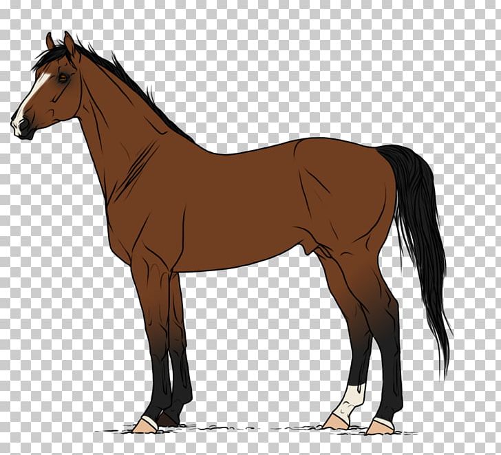 Pony Stallion Mustang Foal Mare PNG, Clipart, Chestnut, Draft Horse, Drawing, English Riding, Foal Free PNG Download