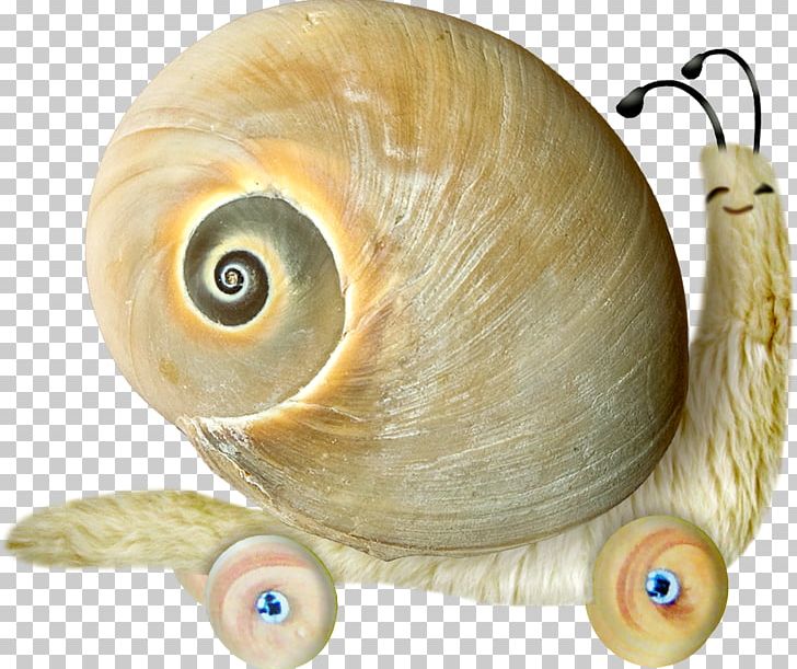 Snail Yandex Search PNG, Clipart, Albom, Animal, Animals, Cartoon, Cochlea Free PNG Download