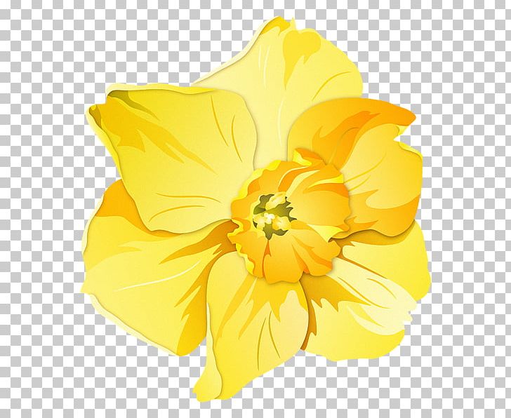 Daffodil Pin Badges T-shirt Zazzle Clothing Accessories PNG, Clipart, Amaryllis Family, Art, Badge, Badges, Clothing Free PNG Download