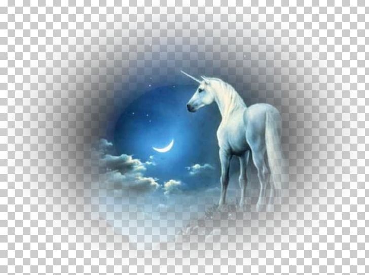 Unicorn Animation Pegasus Desktop PNG, Clipart, Animation, At Resimleri, Blingee, Computer Wallpaper, Desktop Wallpaper Free PNG Download