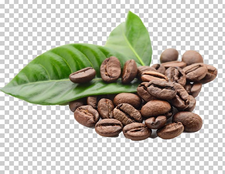 Arabica Coffee Espresso Kona Coffee Coffee Bean PNG, Clipart, Bean, Beans, Black, Brewed Coffee, Cafe Free PNG Download
