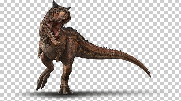 Carnotaurus Tyrannosaurus Jurassic World Evolution Jurassic World Alive Stygimoloch PNG, Clipart, Amblin Entertainment, Baryonyx, Carnotaurus, Dinosaur, Extinction Free PNG Download