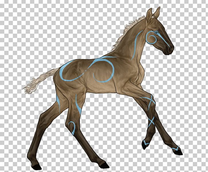 Mustang Foal Appaloosa Stallion Mare PNG, Clipart, Animal Figure, Appaloosa, Appaloosa Spirit, Bay, Bridle Free PNG Download