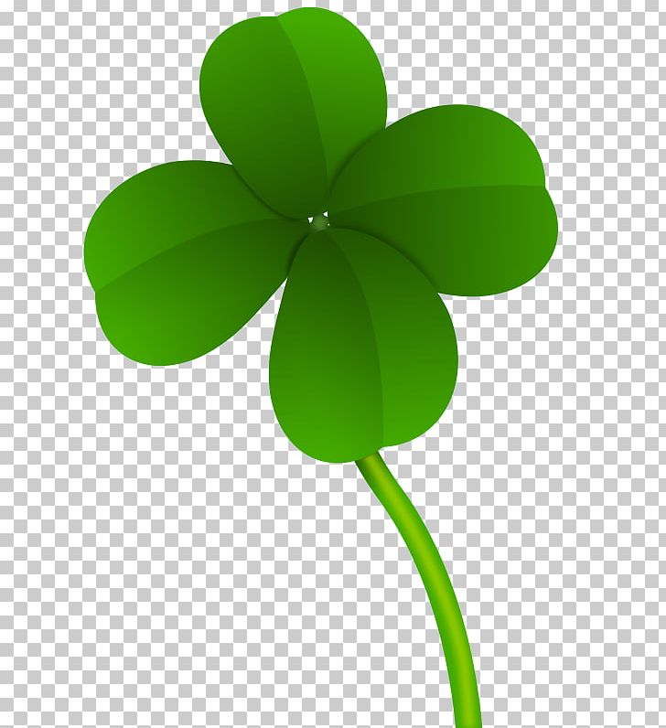 Red Clover Four-leaf Clover Shamrock Png, Clipart, Clover, Flora 