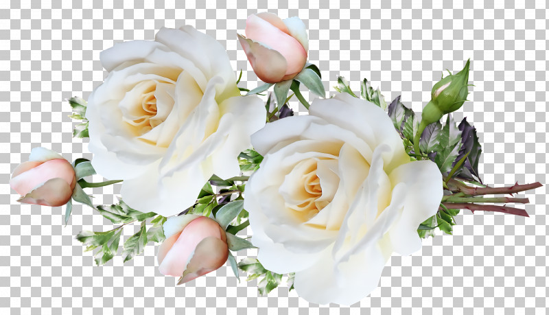 Garden Roses PNG, Clipart, Artificial Flower, Cabbage Rose, Cut Flowers, Floral Design, Flower Free PNG Download