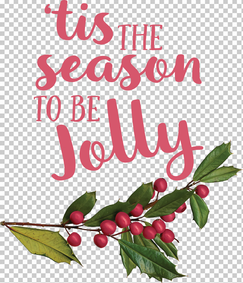 Holly PNG, Clipart, Aquifoliales, Black Pepper, Cranberry, Fruit, Holly Free PNG Download
