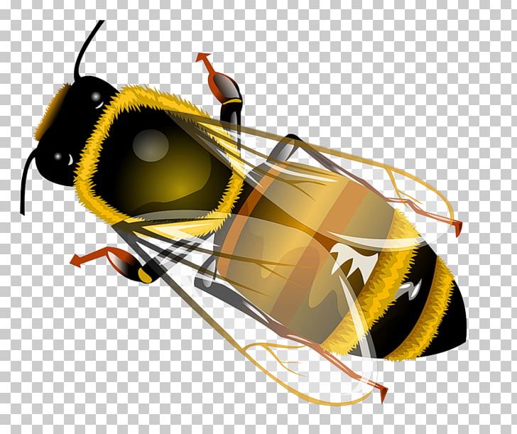 Western Honey Bee Insect PNG, Clipart, Animals, Arthropod, Black, Dragon Flies, Euclidean Vector Free PNG Download
