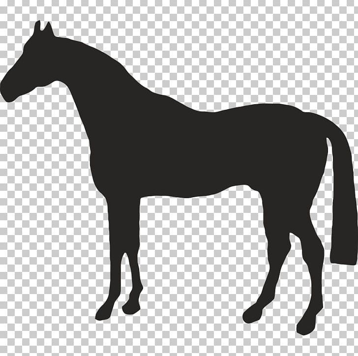 American Quarter Horse Drawing PNG, Clipart, American Quarter Horse, Black, Black And White, Bridle, Colt Free PNG Download