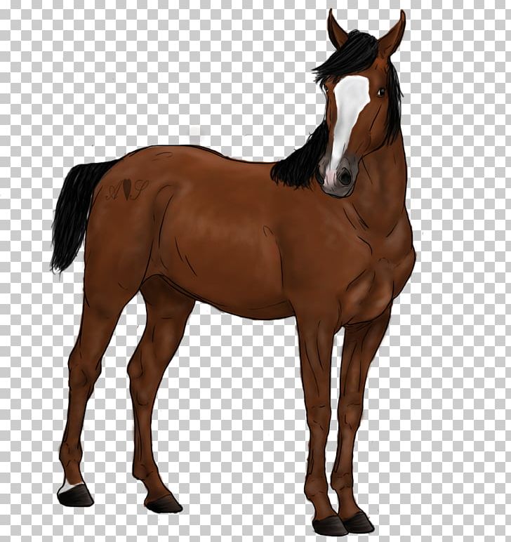 Foal Rein Stallion Mustang Mane PNG, Clipart, Animal Figure, Bridle, Colt, Foal, Halter Free PNG Download