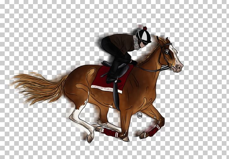 Hunt Seat Stallion Rein Mustang Horse Harnesses PNG, Clipart, Animal Sports, Bit, Bridle, Dog Harness, English Riding Free PNG Download