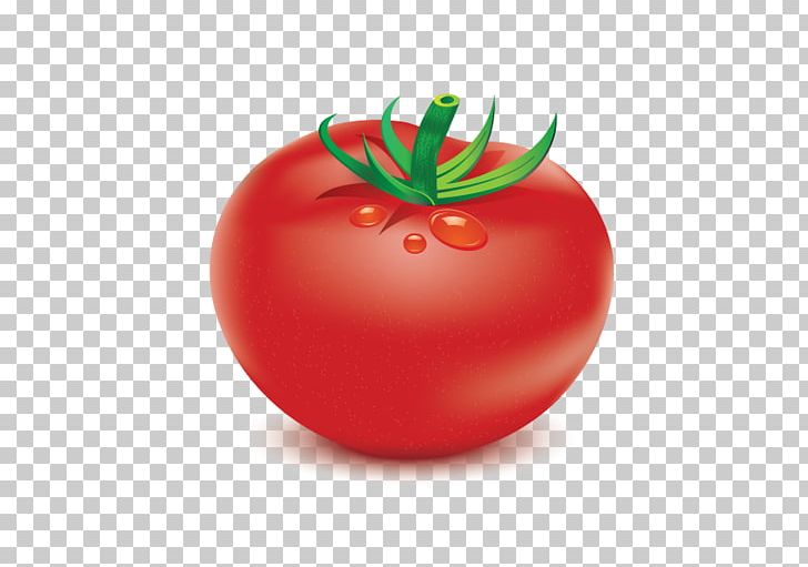 Plum Tomato Food Vegetable Bush Tomato PNG, Clipart, Bush Tomato, Diet, Diet Food, Food, Fruit Free PNG Download
