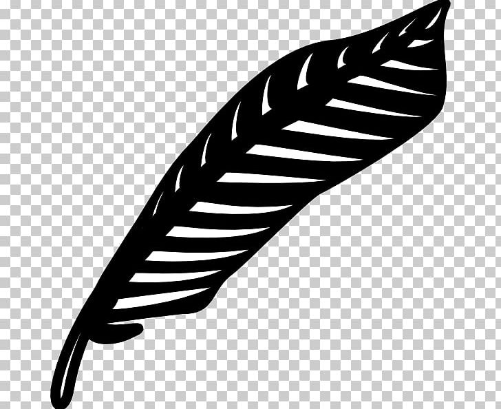 Feather Quill Bird PNG, Clipart, Bird, Black, Black And White, Blog, Domesticated Turkey Free PNG Download