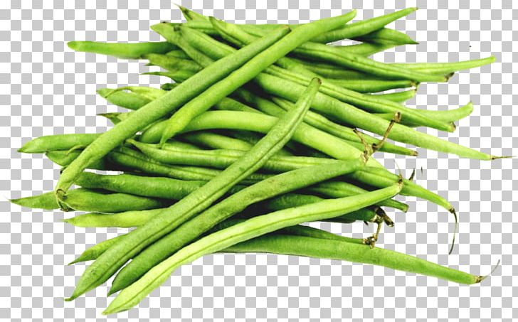 Green Bean PNG, Clipart, Green Bean Free PNG Download