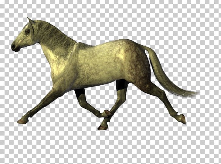 Mustang Stallion PNG, Clipart, Animal, Animal Figure, Caballo, Depositfiles, Horse Free PNG Download