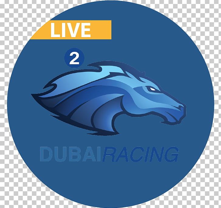 Dubai TV Dubai Sports 2018 World Cup Noor Dubai PNG, Clipart, 2018 World Cup, Abu Dhabi Sports, Al Aoula, Blue, Dolphin Free PNG Download